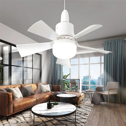 Ceiling fan with light