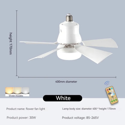 Ceiling fan with light