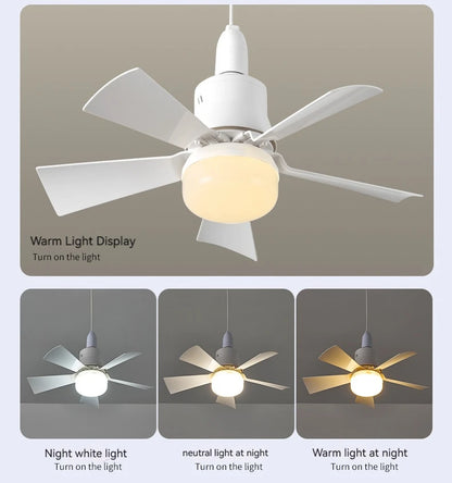 Ceiling fan with light